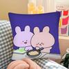 1Pc Asamimichaan Asleep Asamimi Pillow Case Fashion Square Pillowcase Bedroom Sofa Room Ins Decoration Leisure