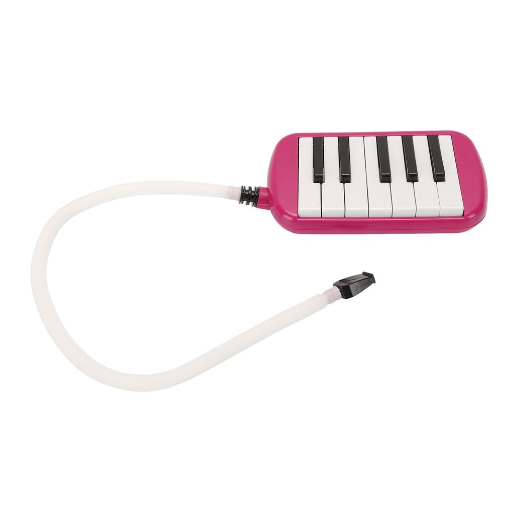 12 Key Melodica Instrument with Tube Piano Keyboard for Beginners Kids and Adults
