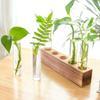 Transparent Glass Hydroponic Plants Container Wooden Stand Glass Tube Vases  Weddings