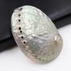 1 Piece Diy Women'S Necklace Gift Accessories White Natural Abalone Shell Pendant Water-Drop Shape For Jewelry Making