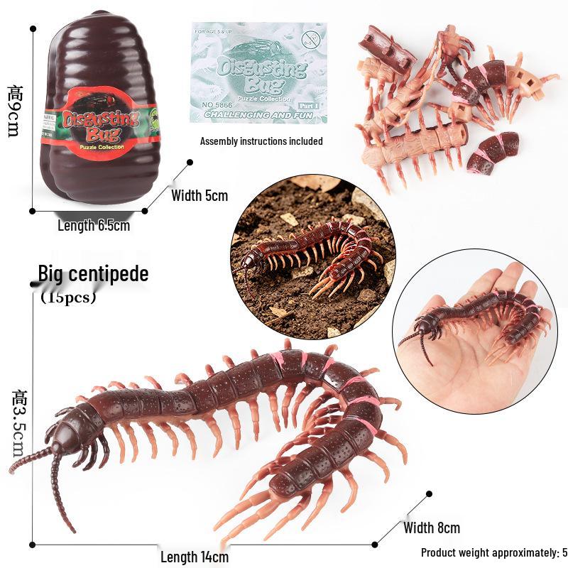 4D Insect Model Toy Set: Ladybug, Stag Beetle, Centipede, Ant, Fly, Mantis