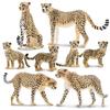 TOYMANY 8-Piece Cheetah Figure Set, Wild Animal Figure Model for Parent and Child, Realistic Model, Popular Toy, Birthday Gift, Christmas, New Year's