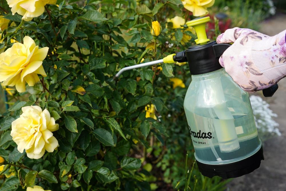 Hand Pressure Sprayer 1.5L