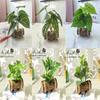 Creative Wooden Basin with Artificial Green Plant Bonsai Ornament for Display and Decoration.
