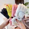 Winter Warm Outdoor Plush Mittens Windproof Cycling Gloves New Touchscreen Ski Gloves