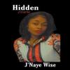Hidden Scars by JNaye Wise Paperback Book 9781646205349