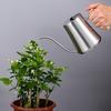 Stainless Steel 1000ml Watering Can with Wood Handle – Creative Slim Waist Design for Gardening