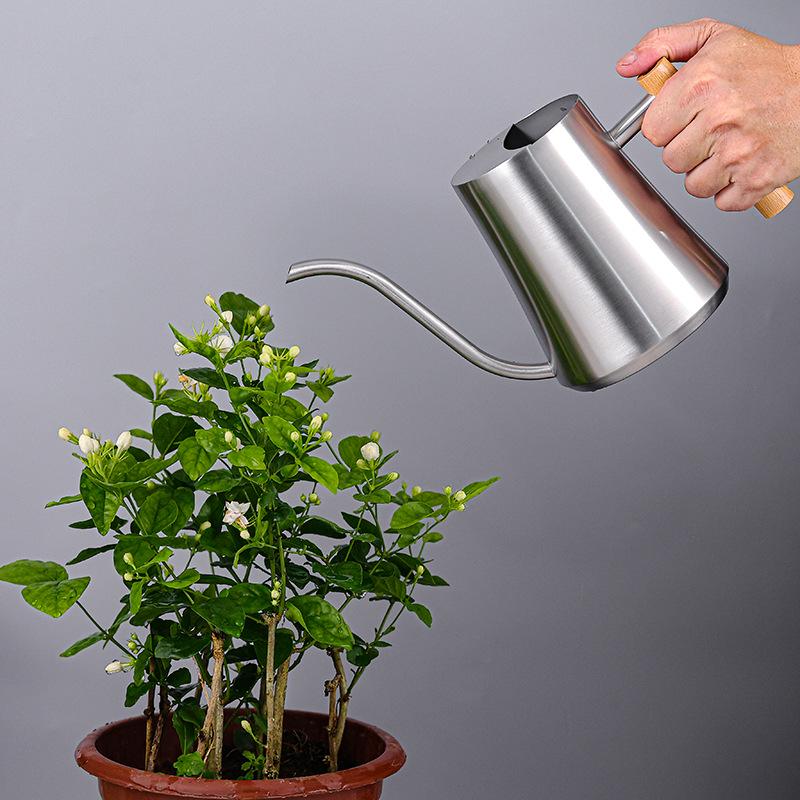 Stainless Steel 1000ml Watering Can with Wood Handle – Creative Slim Waist Design for Gardening