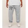 Athletic Division Graphic Jogger Light Grey Core Marl A5b4l Gbcn