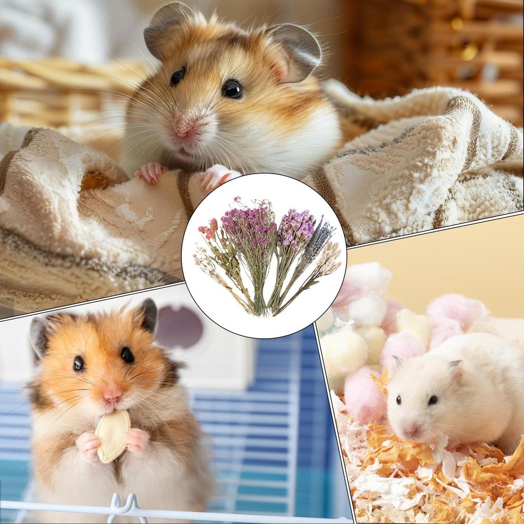 Hamster Bedding Natural Dried Flower Gerbil Bedding Odor Control Enclosure Habitat Decor For Rabbits Gerbils Or Other Small