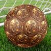 Desert Lizard Mythology Round Football Size 5 Adult Ball Suitable for Training Matches and Outdoor Team.