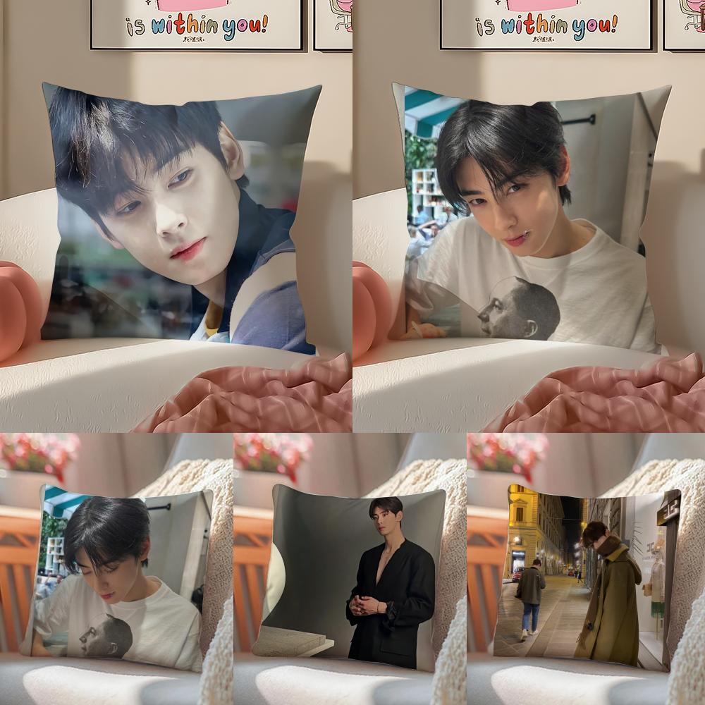 Handsome Kpop Idol CCha EEun Woo Cushion Cover Pillowcase Short Plush Invisible Zipper Room Sofa Cushion Cover