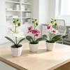 Butterfly Orchid Artificial Flower Pot With Realistic 3d Printing For Home Decor And Photography