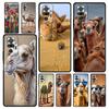 Animal Camel Phone Case Cover for Redmi 14C 10C Note 15 14 13 12 10 11 K40 Pro Plus 5G Shockproof Soft TPU Shell Fundas Capas