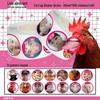 Cusutul și lucrul manual – Scrapbooking