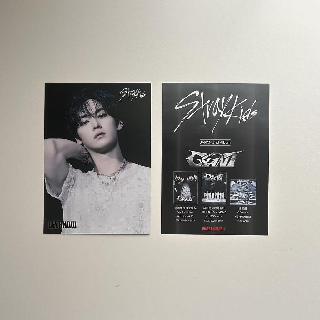 [USED] StrayKids Reno Flyer