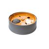 Anti Choking 2 In 1 Slow Feeder Bowl Large Capacity Rolling Ball Interactive Snack Bowl Plastic Non Slip Dog Slow Food Bowl