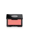 Make Up Forever [NEW] Artist Blush 4g