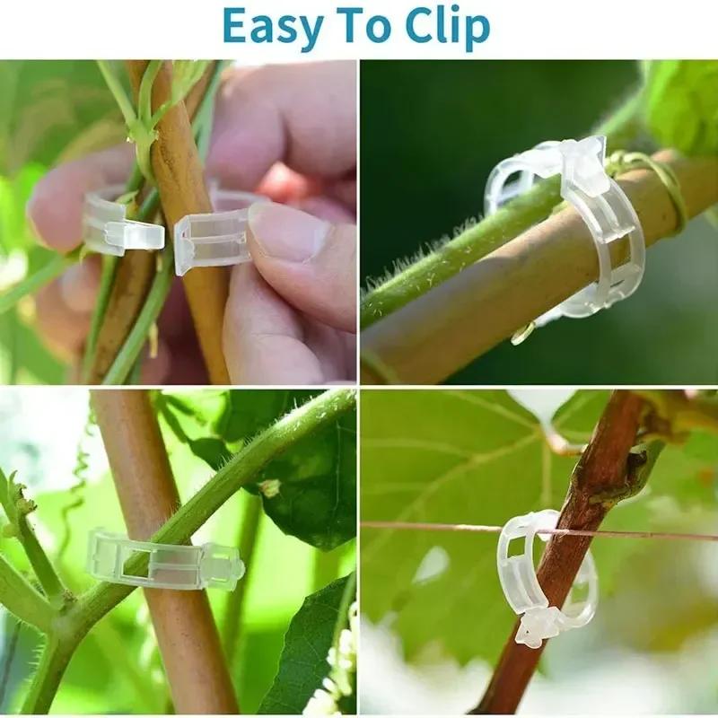 50/100/200pc Plant Clips Supports Reusable Plastic Connects Fixing Vine Tomato Stem Grafting Vegetable Plants Orchard and Garden