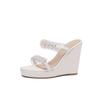 2025 New Summer Fashion Wedge Sandals Transparent 11cm High Heels Women Slippers Outside Sexy Slides sandalias de mujer WSH5048
