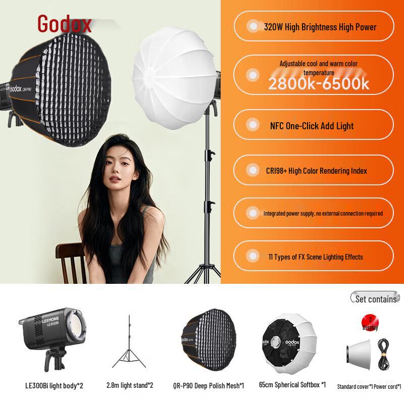 Godox LE300Bi Bi-Color LED Video Light