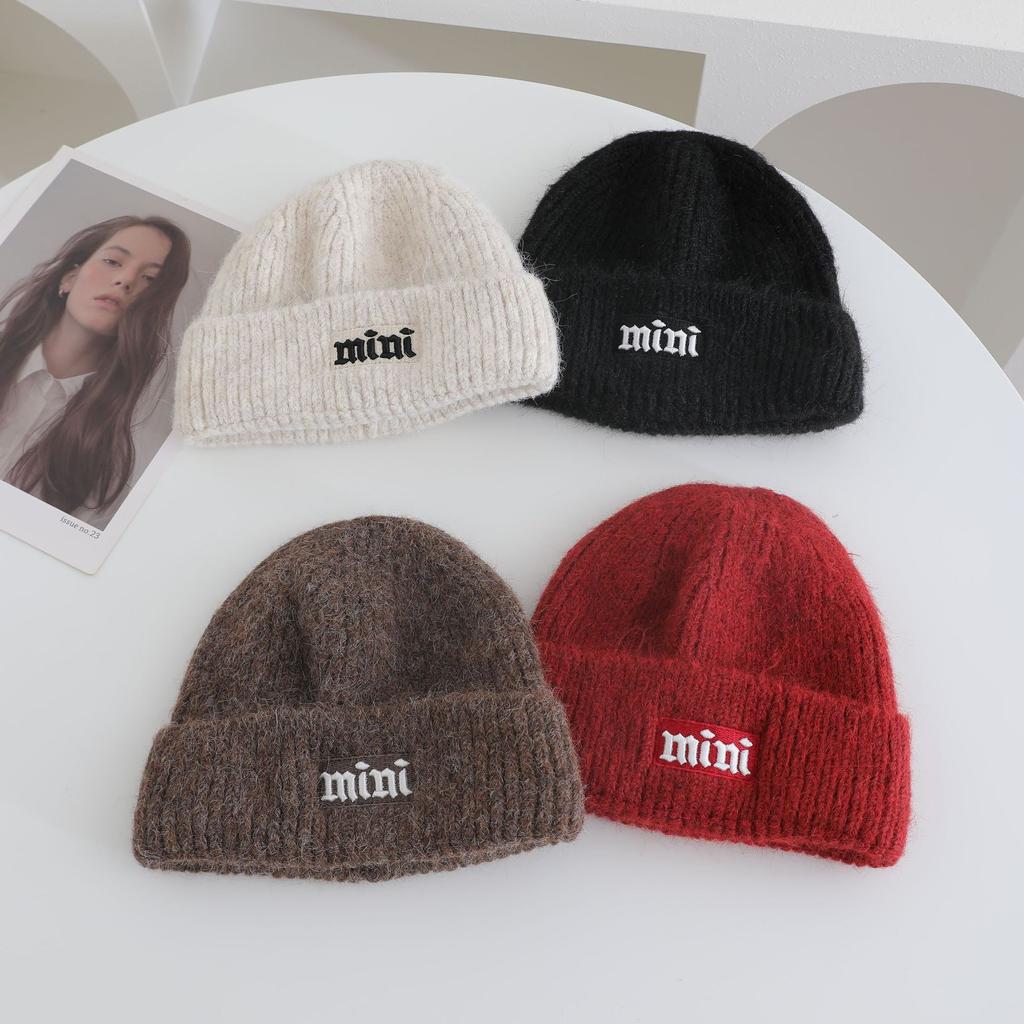 Simple Embroidered Knitted Hat for Women's Autumn and Winter New Collection  Warm Thickened  Cold Hat That Looks Good on The Face Small Ear Protection