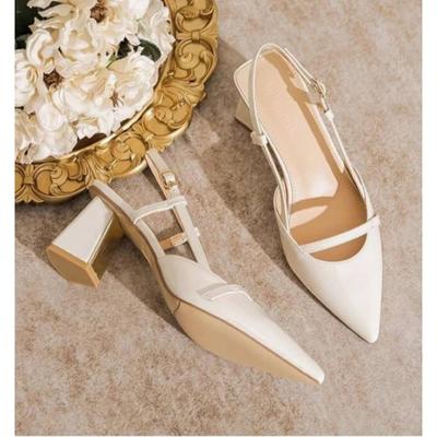 Fashion Shoes for Women Brand Pointy Slingbacks Ladies High Heels Summer Fashion Pumps Shallow Slip On Shoes Female Party Sandals