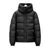Men's Winter Fashion Stand Collar Windproof White Duck Down Jacket