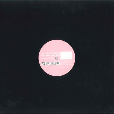 12-Zoll-Schallplatte DJ HASEBE K.K.  Sofort haben wollen RR1288481 RHYTHM REPUBLIC 2006 Japan Japanischer Clubtanz Gebraucht