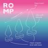 ROMP Luster Anal Plug Set silicone anal plug set Anal toys for beginners Anal play starter kit 3-piece