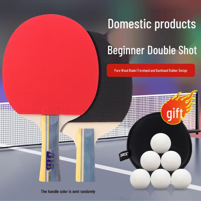 DHS SH Beginner Table Tennis Paddle Set