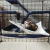 Eis-Seide Hamster Dreieck Hängematte Hautfreundlich Atmungsaktiv Kühlend Hängendes Bett Bequem Beidseitig Hängendes Käfig Haus