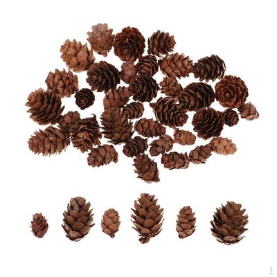 50 Pieces , Holiday Vase Filler Decorations