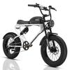 MEELOD DK300 PLUS 20" Bicicletta Elettrica Stile Scooter Retrò Batteria 48V 20Ah