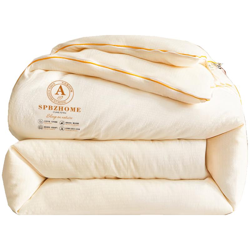 Muji-style All-Season Two-in-One Quilt 200x230cm (4+6 jin)