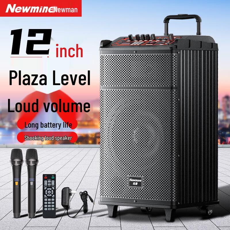 Newmine N520 12-inch Portable Outdoor Karaoke Trolley Speaker