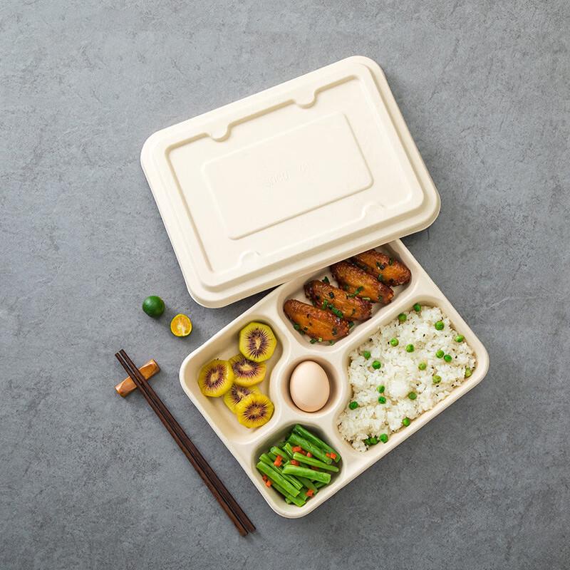 COFLYEE 6-Compartment Pulp Lunch Boxes