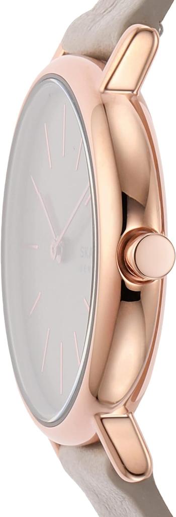 Skagen SKW3060 Women's Watch, Grey [Parallel Import]