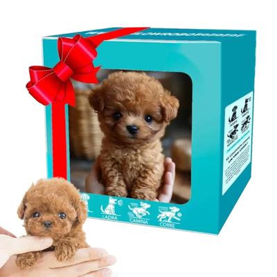 Puppy-shaped Pet Robot, Realistic-looking Puppy with Emotion Recognition, Animal Voice Imitation, Voice Control, Touch, Soothing, Home Companion Dog,