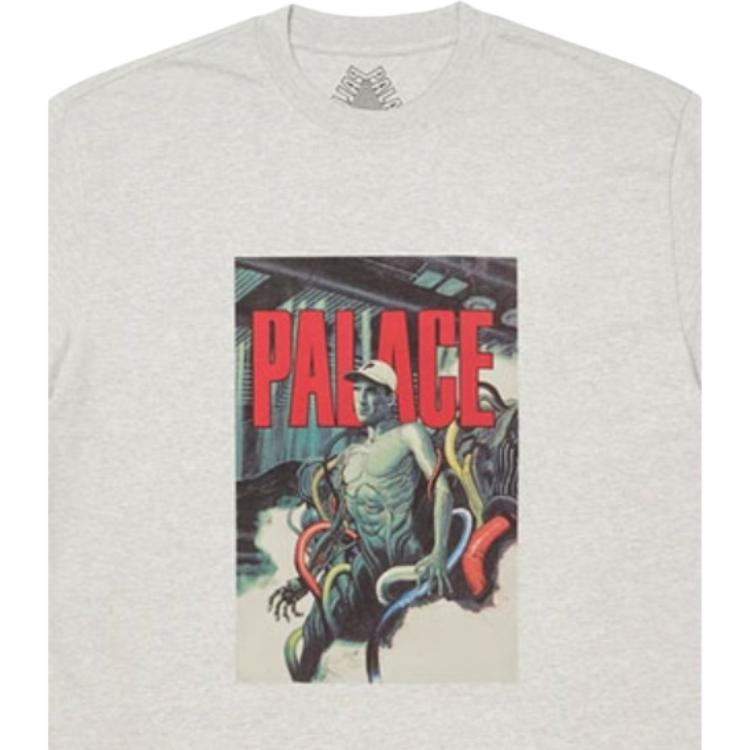Palace FW21 Manga T-Shirt Unisex T-Shirt Grey P21TS174