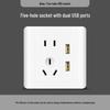 Zhuochi Flush Mount Wall Socket Panel with USB CN Plug (adapter Included)