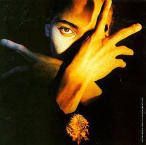

CD TERENCE TRENT DARBY Terence Trent DArbys Neither Fish CK45351 Columbia 1989 US Rap HipHopRB Used