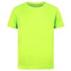 Stedman Childrens/Kids Sports T-Shirt