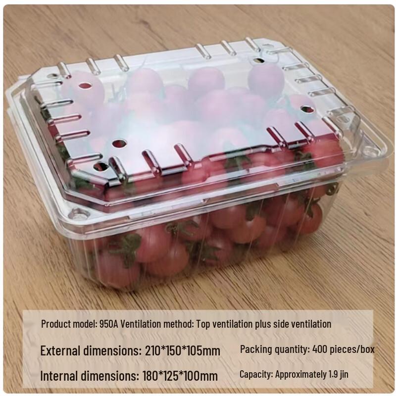 Sanbilai Disposable Fruit and Takeaway Boxes