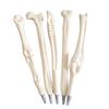 Creative Ball Point Pen Bone Shape Nurse Doctor Student Teacher Stationery Gift