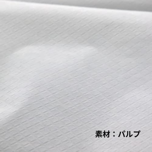 Shimojima Paper Apron SWAN White M