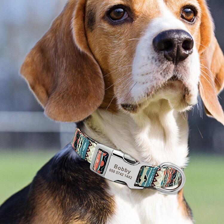 Cross-Border Dog Collar Wholesale Engraved Dog Tag Anti-Lost Adjustable Semi-Metal Buckle Medium and Large Dog Collar