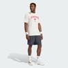adidas Heritage Graphic T-Shirt Kb9442
