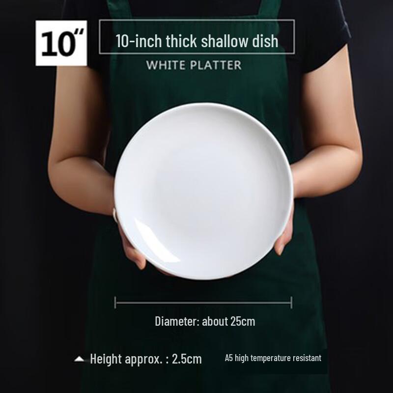 10-inch Commercial Melamine Dinner Plates