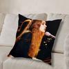 F-Fiona Apple-S I Lover Pillow Case Anti-dustmite Pillowcase Invisible zipper silky short plush Sofa cushion cover